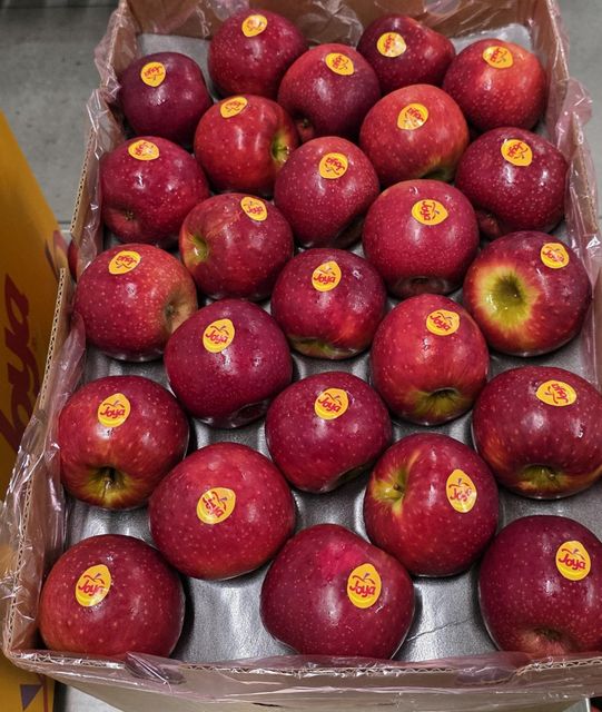 Fresh Joya Apples for sale class 1 export quality - Image 3
