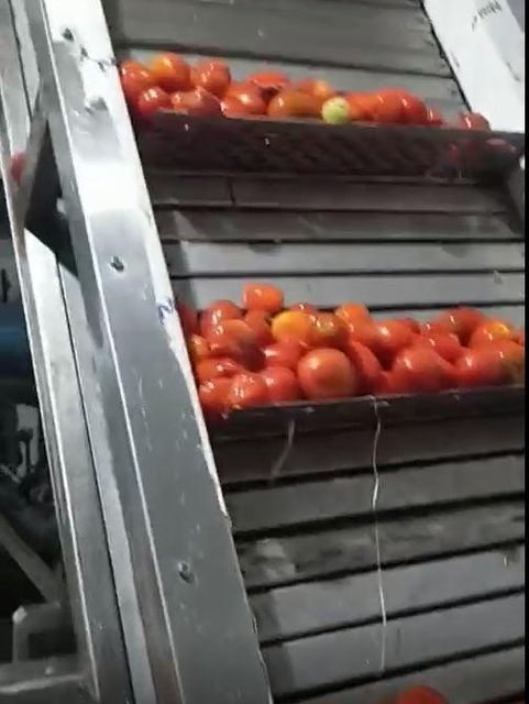 Fruits and Vegetable Pulper Machines Pulp Yield High-yield Manufacturer SS Steel Quality Standard Export-quality Processing Type Fruits and Vegetable - Image 5