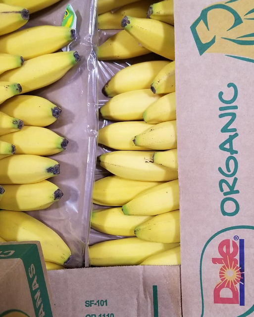 TOP RATED DOLE PREMIUM FRESH BANANAS NATURALLY SWEET AND CREAMY TEXTURE 13Kg CAVENDISH BANANAS EXPORT QUALITY - Image 4