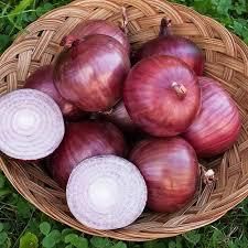 Red Yellow Onion Wholesale Yellow Onions Cebolla Oignon Color Red, Yellow Shape Round, Oval Shelf Life 2 years Form Fres - Image 4