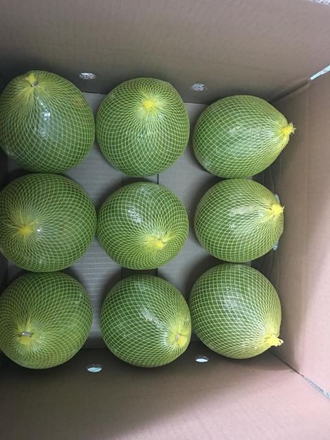 INTERNATIONAL DEMAND: FRESH GRAPEFRUIT 5 ROI SOURCING Size 13 Cm Style Fresh Weight 1 Kg Maturity 100% Grade Grade 1 Origin - Image 5