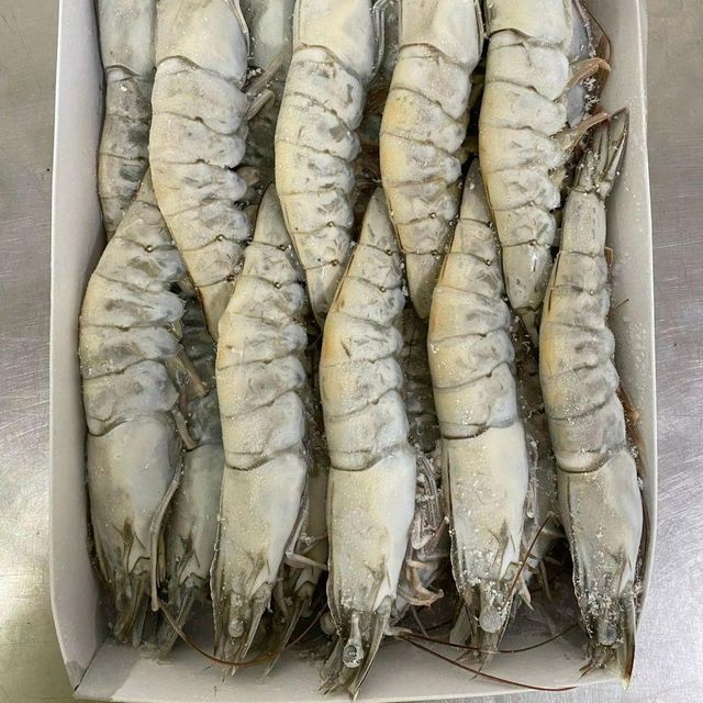 Frozen Hoso Shrimp Premium Frozen Seafood Packed Under Advanced Quality Controls For Global Buyer Demand - Image 1