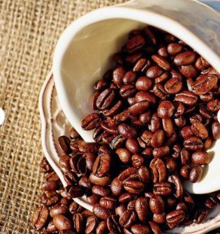 Quality Kopi luwak Coffee beans ( Civet coffee beans), Excelsa Coffee Beans, Maragogipe coffee beans for sale - Image 3