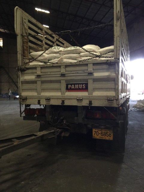 Sugar cane - Image 4