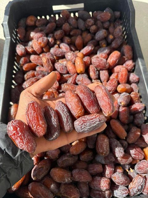 Medjool Dates - Image 3