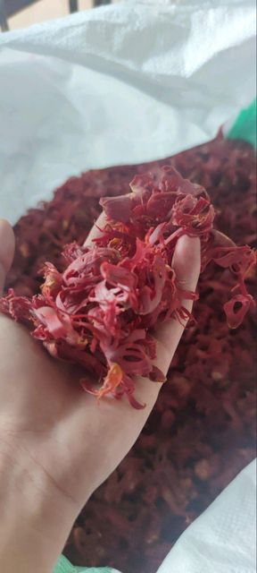 Whole Mace (Indonesian Origin) Grade Hand Picked Drying Process Sun Dried Defects No Black, No Broken Fungus Free Free From Fungus - Image 3