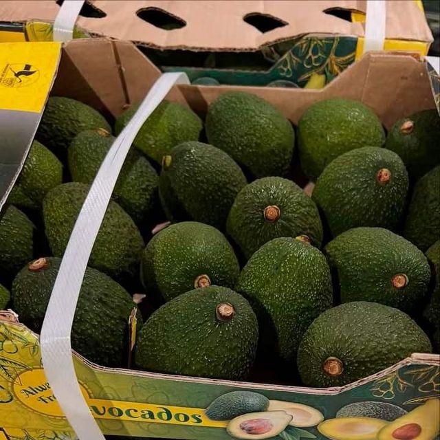 Organic Tropical Hass Avocado Fresh - Image 1