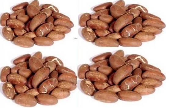 Bitter kola Grade AA Type COLA Shape ROUND Packaging 50KG BAGS Max. Moisture (%) 12 Shelf Life 24 MONTHS Cultivation Type - Image 3