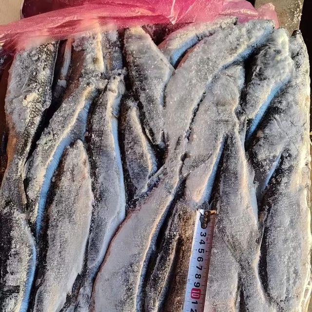 Frozen Herring Fish Naturally Preserved Seafood Choice With Strong Nutritional Profile For International Buyers - Image 1