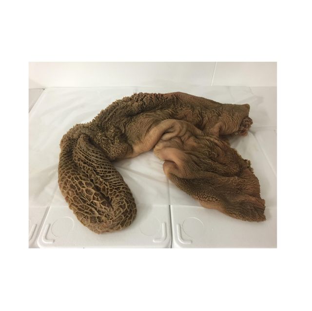 Dried salted Frozen Beef Omasum/ Cow Stomach/ Halal - Image 2