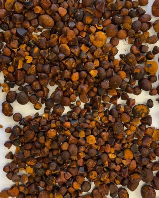 Premium Natural Cow Gallstone for Traditional Medicine and Herbal Remedies - Image 3