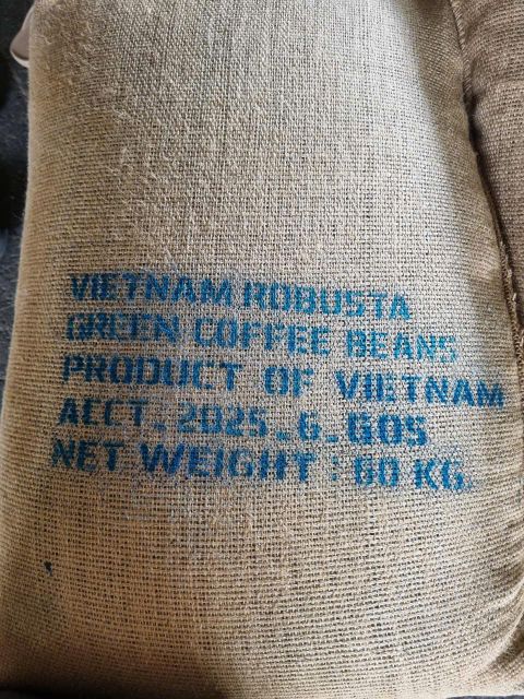 Robusta Grade 2, 5% Black & Broken For Instant Coffee Powder Processing - Image 2