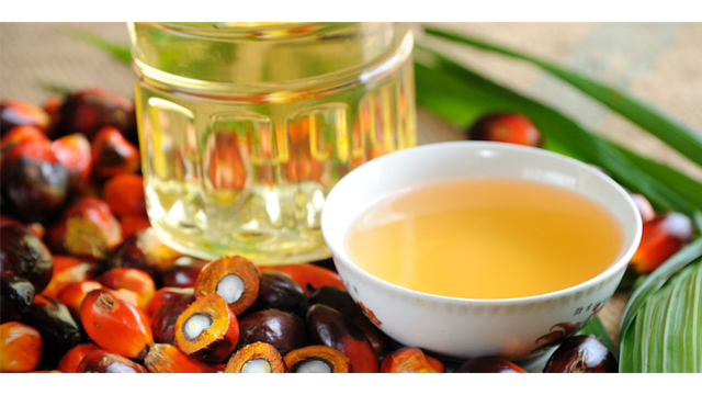 RBD PALM OLEIN CP6, CP8, CP10 / Refined CP66 CP8 CP10 Palm Cooking / BEST QUALITY PALM OIL SUPPLIER - Image 3