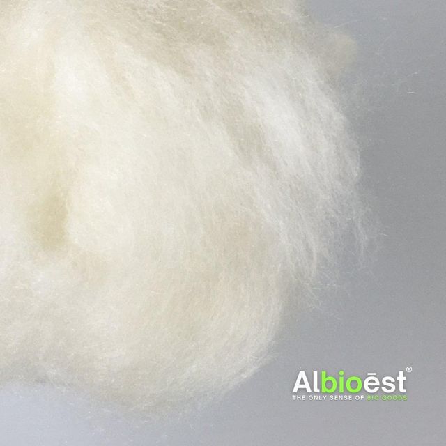 Kapok Fiber Origin Indonesia Type Natural Fiber Density ~0.35 G/cm³ Color White Yellowish Max. Moisture (%) 12% Moisture Regain ~8–12% - Image 1