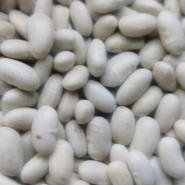 White Kidney Beans / Butter Bean / White Bean Style Dried Ingredients No Weight (kg) 25 Type White Beans Drying Process - Image 3