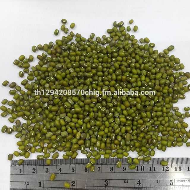 GREEN MUNG BEANS - Image 4