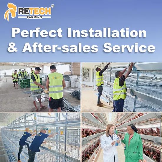 Chicken House Poultry Farm Chain type Harvesting Broiler Cage Poultry Equipment Poultry Cage - Image 3