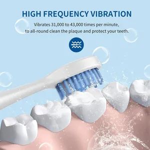 Wireless Teeth Whitening Toothbrush Smart Adult OEM LED Sonic Electric Toothbrush - Image 6