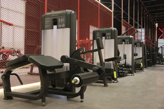 Strength Training Pin Load Selection Fitness Workout Gym Equipment Abdominal Machine - Image 6