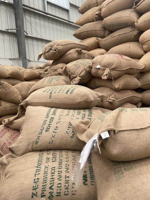 Ethiopian Green Bean Coffee - Image 2