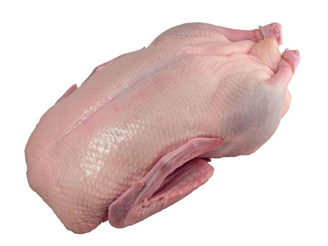 Delicious Frozen Whole Duck Carefully Processed Buy With Confidence For Rich Flavor Tender Meat And Easy Meal - Image 2