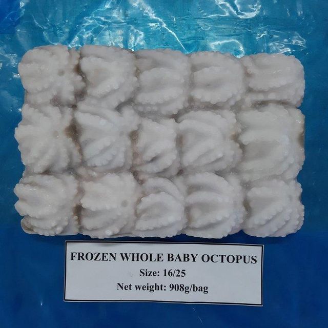 Frozen Octopus Baby Octopus Flowers Fresh Seafood. - Image 1