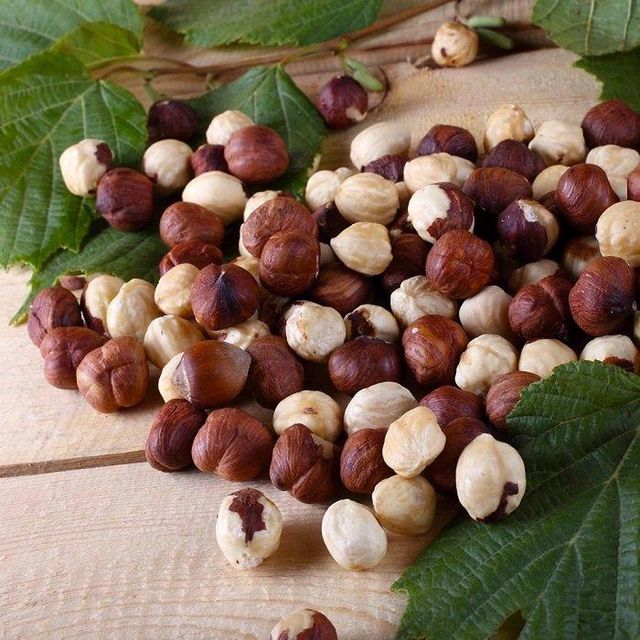 Bulk Hazelnuts Nuts Available for Sale at Low Price Fresh and Natural Quality from Trusted Food Manufacturers - Image 5