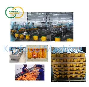 Automatic Canned Yellow Peach Orange Fruit Production Line - Image 3