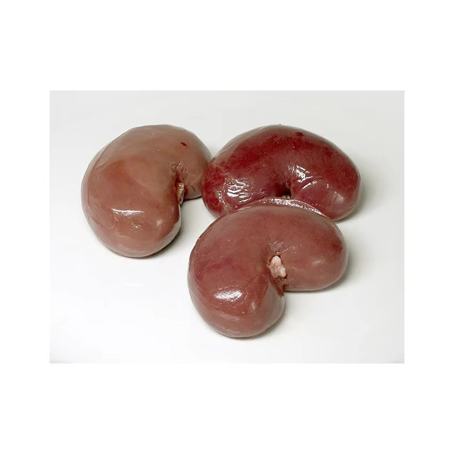 Frozen Pork Kidneys Premium Export Frozen Pork Kidneys For Global Meat Trade High Protein Pork Kidneys For Processing Industry Buyers - Image 2