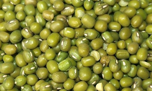 Green Mung Beans / Vigna Mung Beans Premium Quality Conventional Natural Mung Beans Green - Image 4