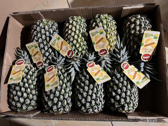 Golden Sweet Pineapple Premium - Image 3