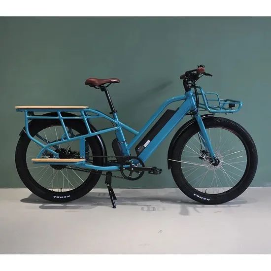 Adult Fashion Color Cargo Bike 500W Rear Hub Motor - Image 3