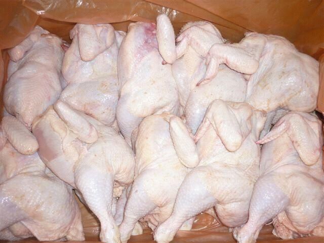 Best Quality Healthy and Natural Whole Chicken Halal Frozen Whole Chicken From Turkey Poultry Meat Chicken with Customize Pack - Image 3