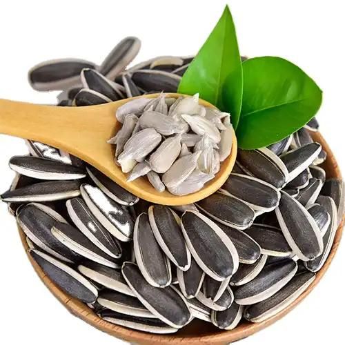 Organic Sunflower Seeds wholesale 361 363 601 T5 T6 2099