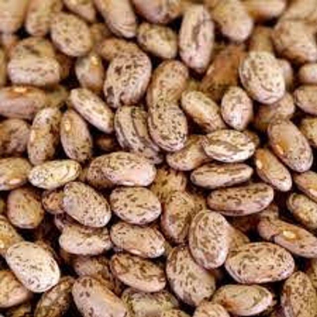 Selected Natural Dried Pinto Beans Offering Reliable Export Packing For Wholesale Import Buyers - Image 4
