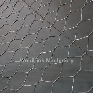 CNC Gabion Mesh Weaving Machine Weight 16t Origin China Warranty 1 Year HS Code 8463300000 Twist Number 3 or 5 Trademark WELD LINK - Image 4
