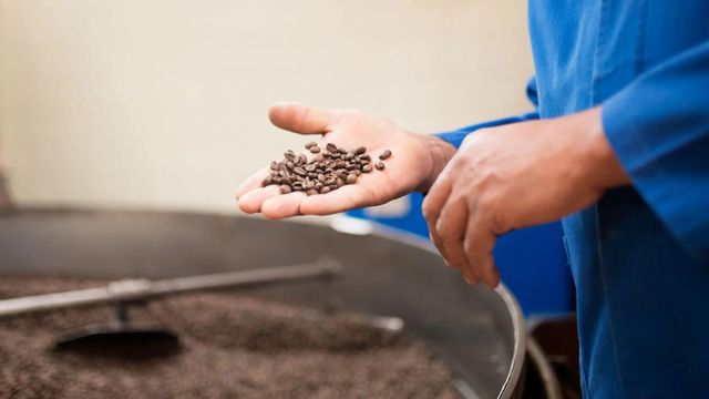 Natural Organic Arabica & Robusta Roasted Coffee Beans Premium Grade 25kg/bag Thailand 12 Months Shelf Life - Image 4