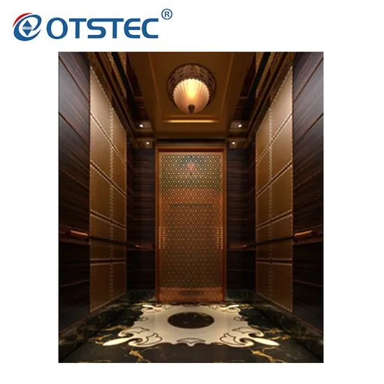 Vvvf Small Machine Room High Quality Lift Elevator Passenger Elevator - Image 3