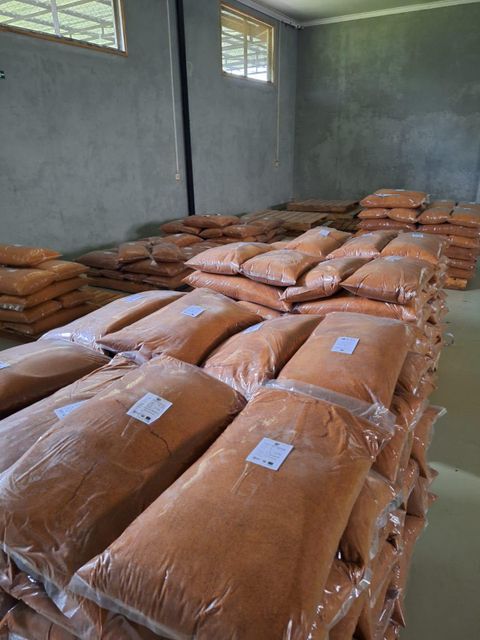 Certified Organic Coconut Sugar (TC/Non TC), Conventional Coconut Sugar - Image 1