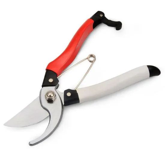 Hand Pruners Grape Scissors Size 605mm Brand Mofix Origin China Usage Pruning Condition New Trademark MOFIX Blade Tip - Image 3