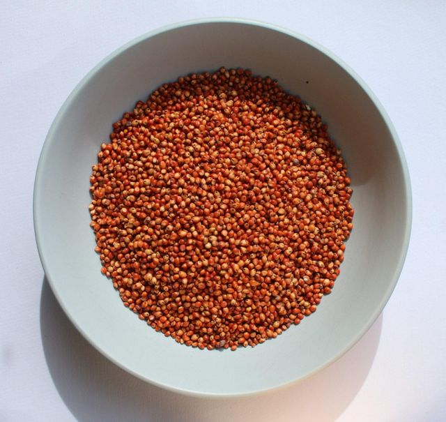 High Quality Red Sorghum Available For Bulk Purchase And Retail Sale - Image 3