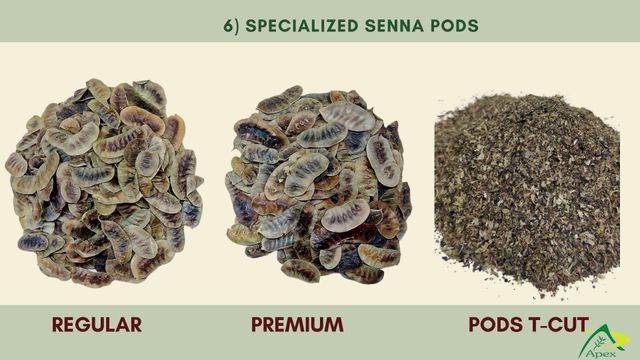 Senna Pod, Senna Pod Bulk Supplier From India Form Pods Shelf Life 2 Years Max. Moisture (%) 10% Place of Origin India Model Number APEX SENNA PODS - Image 4
