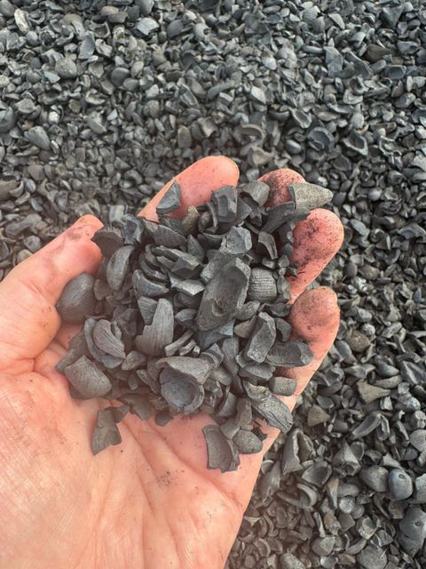 palm kernel charcoal - Image 1