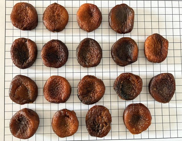 Organic Dried Apricots – Uzbekistan Origin | BIO Certified | Industrial & Retail Grade - Image 2