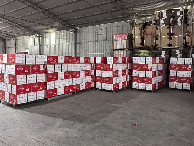 Premium Fuji Apples for Export -Quality ,Great taste - Image 2