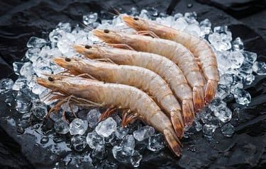 Frozen White Shrimp / White Prawn - Image 2