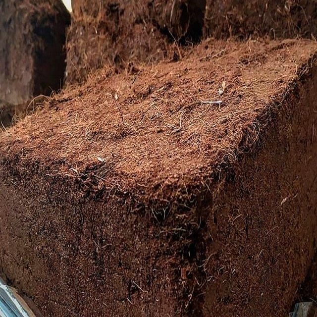 High Quality Coconut Coir Fiber Top Grade Spinning Industrial Use 24 Months Shelf Life Sustainable Agriculture Exported - Image 2