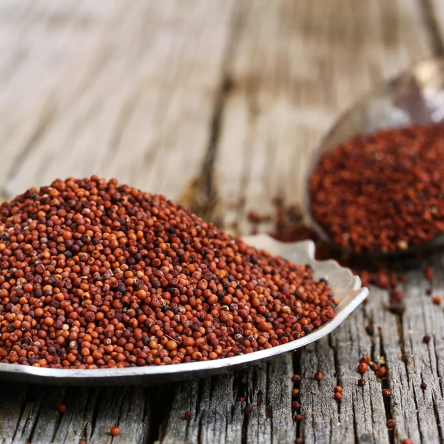 Clean finger millet bulk sale high quality grains wholesale distribution - Image 3