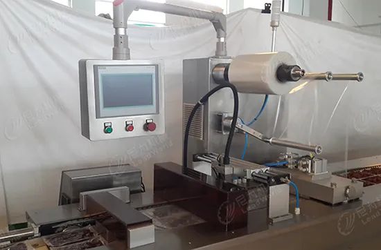 High Capacity Fruits and Vegetables Automatic Stretch Film Thermoforming Vacuum Packing Machine for Dates - Image 4