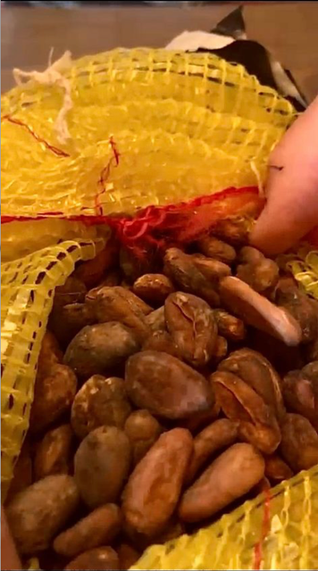 Forastero Cocoa Beans - Ikom, Nigeria Origin Nigeria Bean Type Forastero Degree of Processing Fermented - Image 1